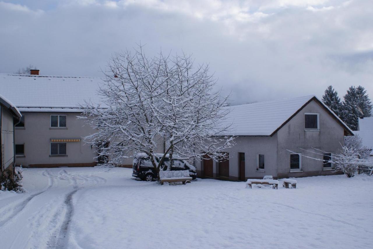 Ferienwohnung Zum Kirschhof Hofbieber ภายนอก รูปภาพ